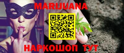 крисы Нальчик