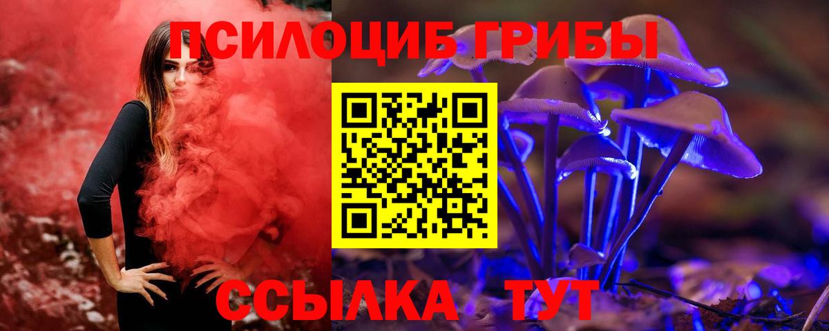 Топки  Галлюциногенные грибы Psilocybine cubensis  Вход с VPN 